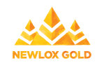 Newlox Gold Issues Stock Options