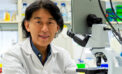 New drug to treat muscular dystrophy based on U of A research New drug to treat muscular dystrophy based on U of A research