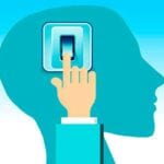 brain memory