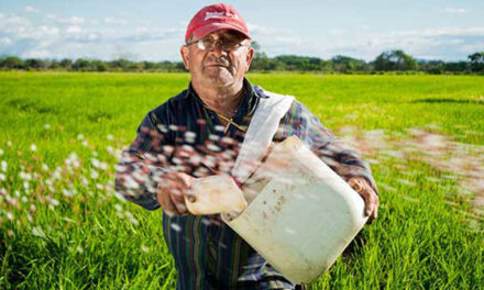 What a Trump 2.0 presidency could mean for Canada’s agri-food sector