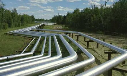 Ottawa bet against fossil fuels and lost