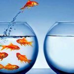 Still not getting hired? Your resume, mindset or strategy might be why