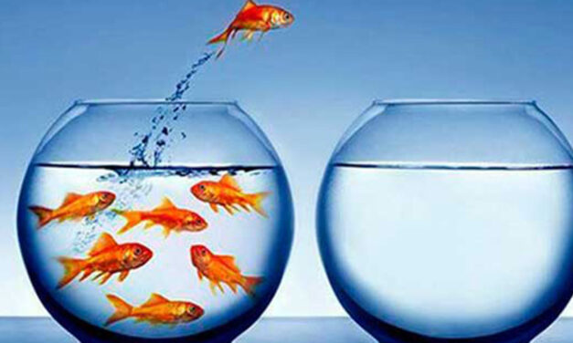 Four words that will help you get hired